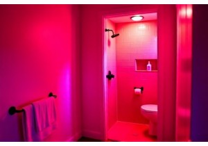 Wall Moisture Barrier Solutions for Older Homes