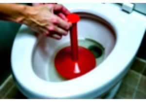How to Use a Plunger on a Toilet With Partial Water Level...
